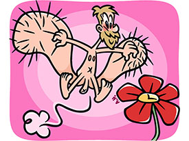 Vie mort et r&eacute;surection d'un papillon 